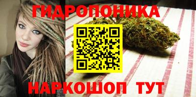 спайс Малгобек