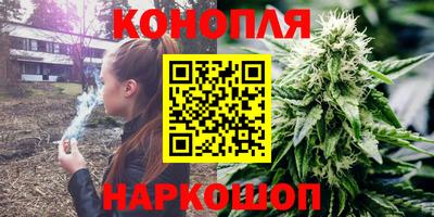 спайс Малгобек