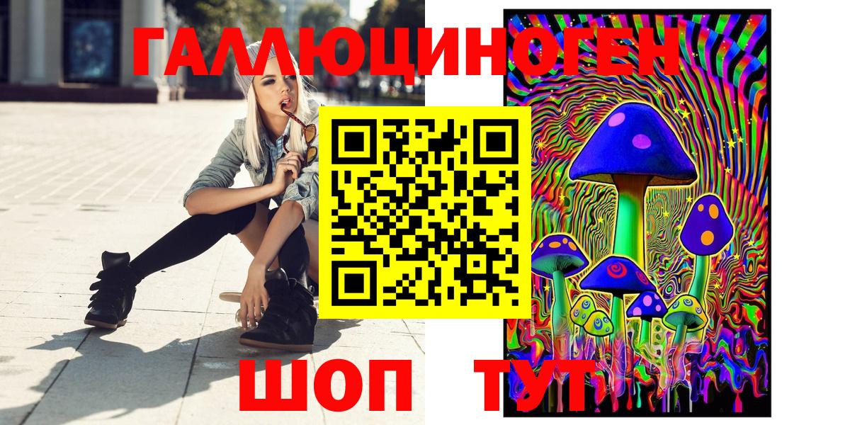 Псилоцибиновые грибы Psilocybe Реутов