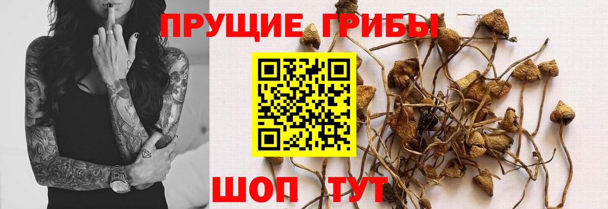 Реутов  Псилоцибиновые грибы прущие грибы  Галлюциногенные грибы GOLDEN TEACHER  Вход с VPN 